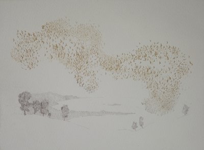 Sunbirds by angus hampel